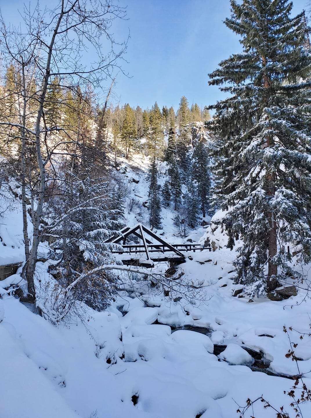 Snowy Dream